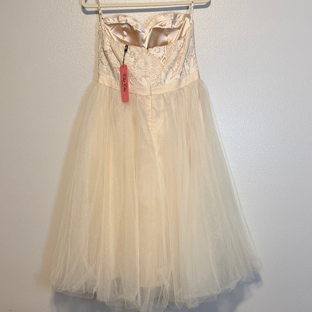 Chi Chi London Beautiful Blush Pink Lace Detail and Tulle Tea Length Dress - Picture 5 of 7